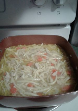 A picture of Turkey noodle soup.