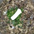 Champiñones a la mantequilla......!!!