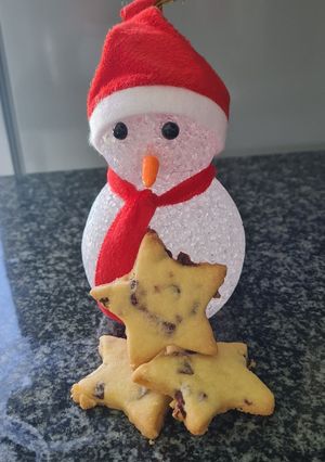 A picture of Cranberry Shortbread.