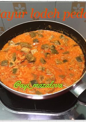 Foto resep 🍆 Sayur Lodeh Pedas 🌶