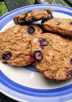 藍莓燕麥餅乾-Blueberry Oatmeal Cookies 的食譜成品照片