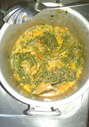 Foto resep Pakis santan nikmat