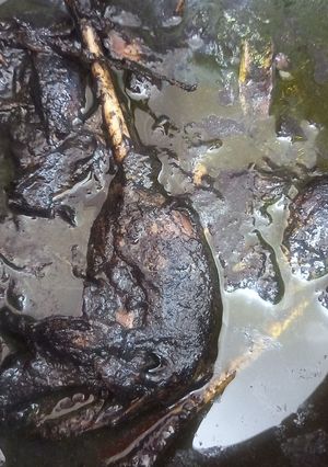 عکسی از دستور فسنجون با گوشت غاز😋