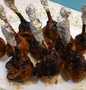 Easy Way Make Recipe Lolipop Chicken in BBQ Sauce that is Awesome, Can Spoil the Tongue}
