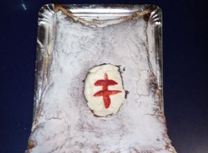 Foto principal de Manto de la virgen