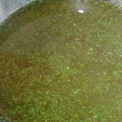 A picture of Pani Puri ka Tikha Pani.