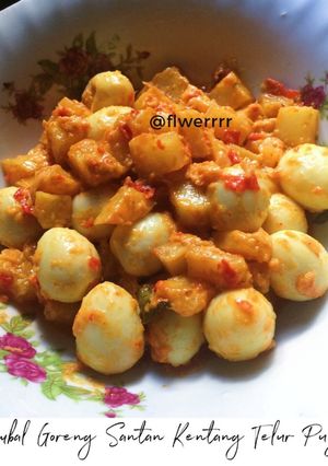 Foto resep Sambal Goreng Santan Kentang Telur Puyuh