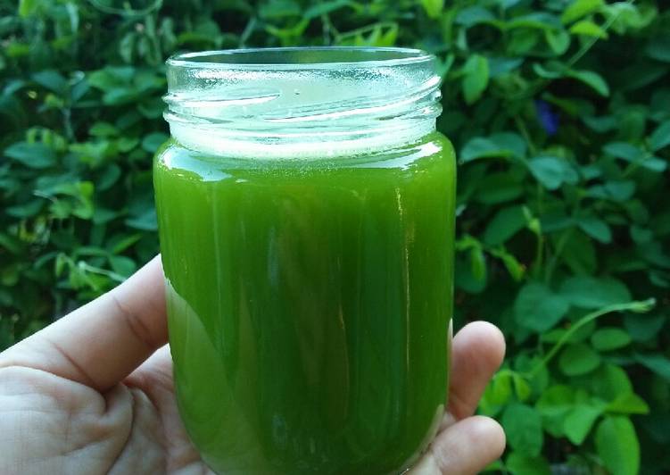 Cara Gampang Menyiapkan Green juice (no gula no air) Anti Gagal