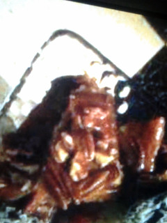 A picture of Pecan Graham Squares.