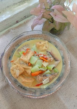 Foto resep Sayur Santan Tahu Labu Siam