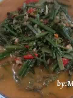 Foto resep 001. Pakis masak santan