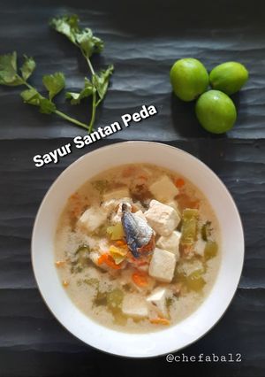 Foto resep Sayur Santan Tahu Peda