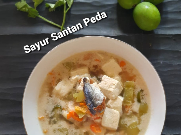 Wajib coba! Resep memasak Sayur Santan Tahu Peda  nikmat