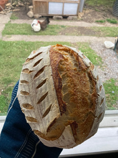 A picture of Sourdough Boule.