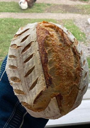 A picture of Sourdough Boule.