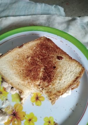 Una foto de Sándwich O