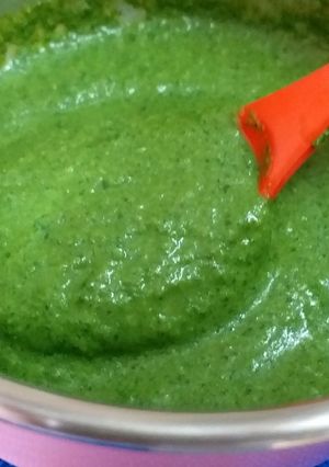 A picture of Coriander Chutney.