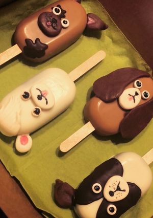 Une photo de Magnum cakes 🐶