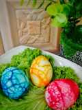 Telur Dinosaur