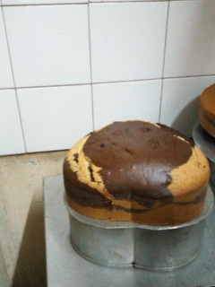 A picture of Marble cake.