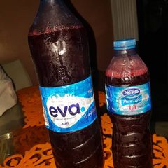 A picture of Zobo.