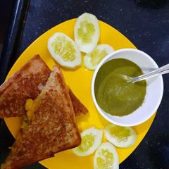 A picture of Delicious Chicken tikka sandwich.
