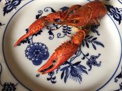 A picture of leftover crawfish recipes
