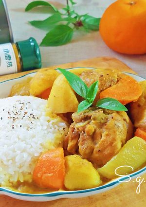 馬鈴薯咖哩雞 的食譜成品照片