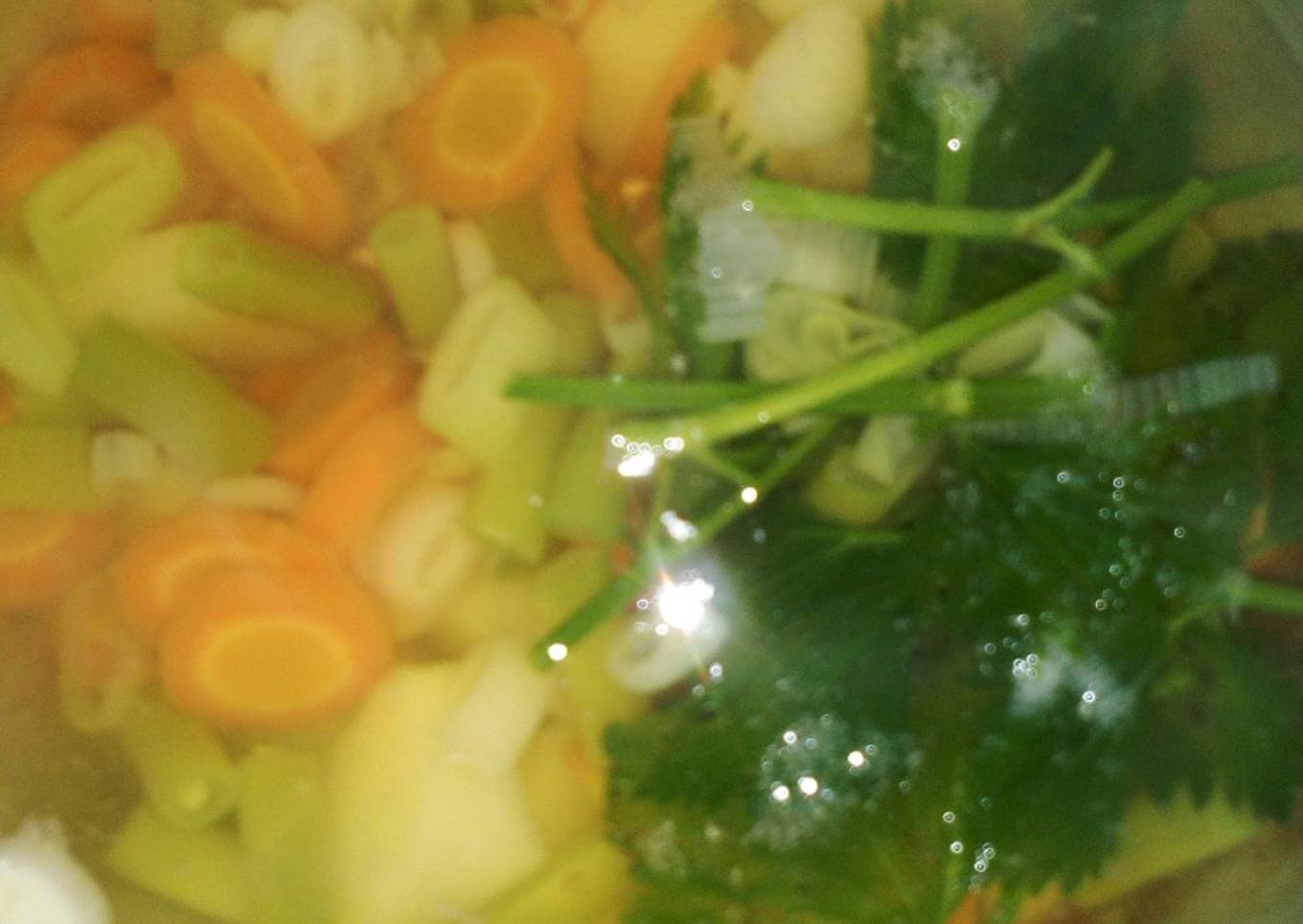Sayur Sop Sederhana