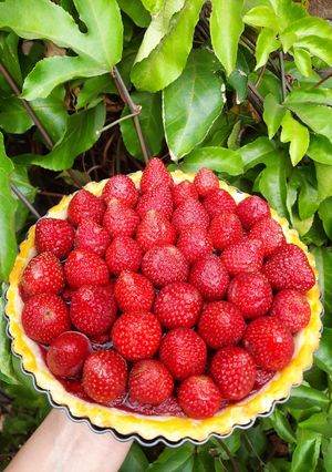 Foto resep Strawberry Tarlets