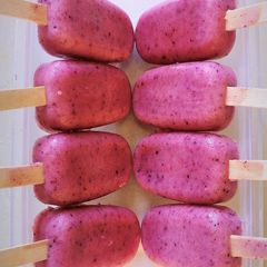 A picture of HEALTHY POPSICLE.