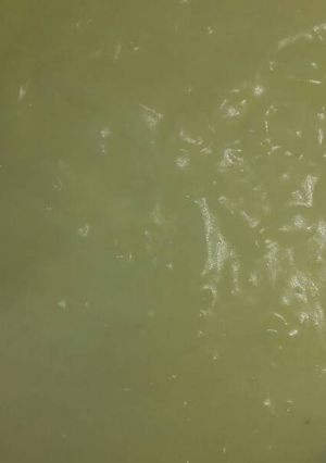 Una foto de Crema pastelera