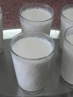 Una foto de Yogur casero de vainilla /comida de Marruecos