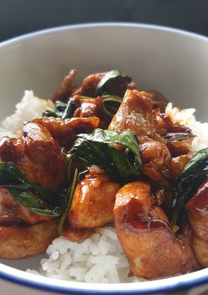 A picture of Soy basil chicken with steam rice.