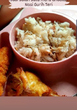Foto resep Nasi Gurih Teri (MPASI 1 thn+)