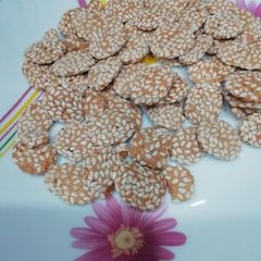 A picture of Sesame Revadi.