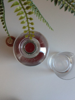 A picture of Rhubarb Syrup.