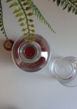 A picture of Rhubarb Syrup.