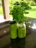 Pesto de guarda