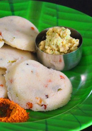 A picture of Oats Idli.