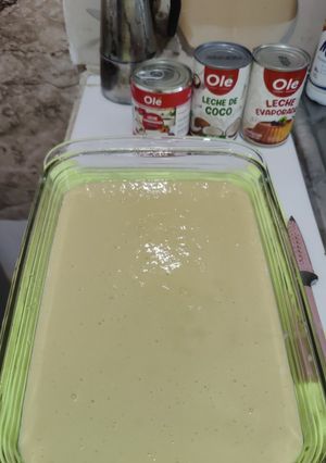 A picture of Tres Leches.