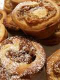 Apfel-Zimt Rollen (Cinnamon Rolls)