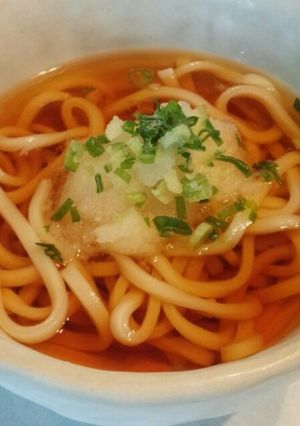 A picture of Chilled Udon with Grated Daikon.