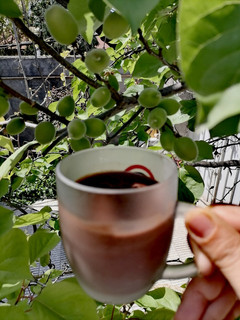 عکسی از دستور هات چاکلت قهوه