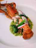 กุ้งก้ามแดงลุยสวน