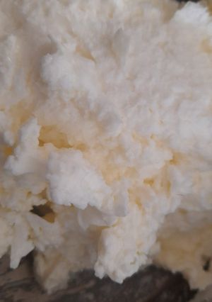 માખણ (Makhan Recipe In Gujarati) રેસીપી મુખ્ય ફોટો