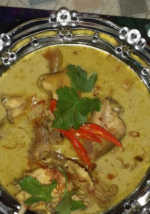 Foto resep Opor ayam kampung
