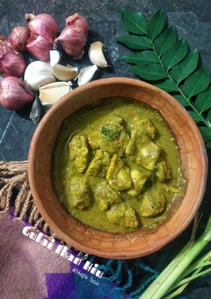 Foto resep Gulai Ikan Hiu Ala Dhapu Dewi
