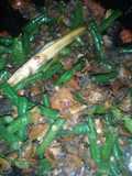 Oseng tuday kacang