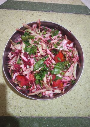 બીટ નું સલાડ (Beetroot Salad Recipe In Gujarati) રેસીપી મુખ્ય ફોટો